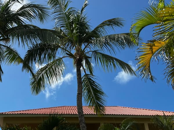 Punta Cana, Dominican Republic