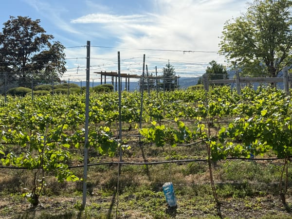 Kelowna, British Columbia, Canada