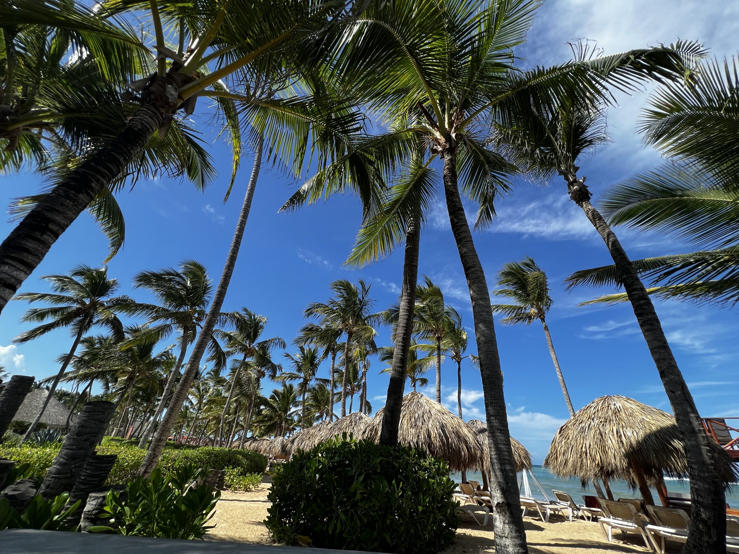 Punta Cana, Dominican Republic – October 2023